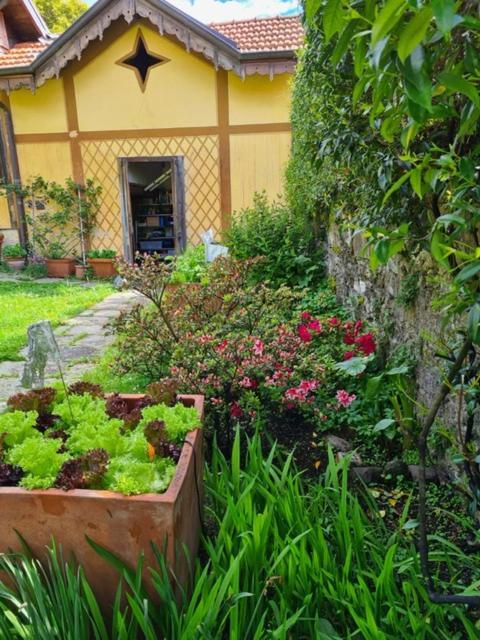 Ca Balossa, Tremezzina Lago Di Como Davanti A Bellagio E Villa Balbianello Mezzegra Екстериор снимка